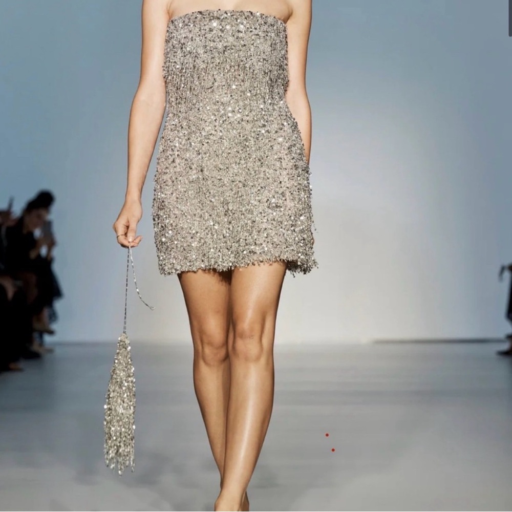 KYHA Studios Jackson Strapless Silver Sequin Fringe Mini Dress - Size 3